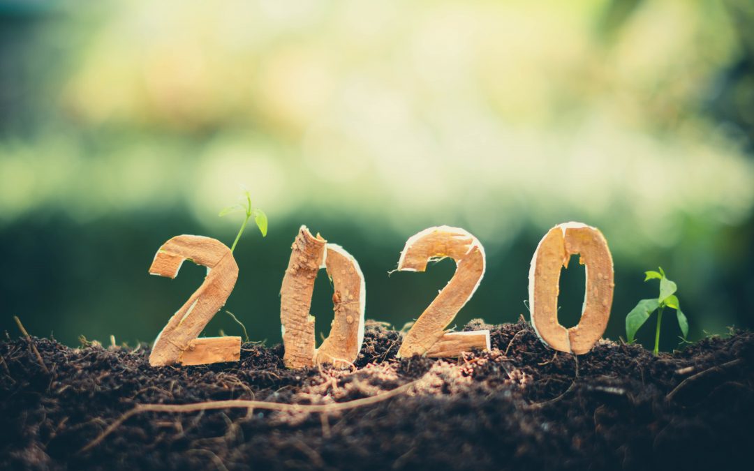 What plan sponsors need to know in 2020 about 401(k) plans